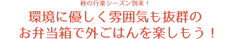 秋の行楽シーズン到来！環境に優しく雰囲気も抜群の お弁当箱で外ごはんを楽しもう！