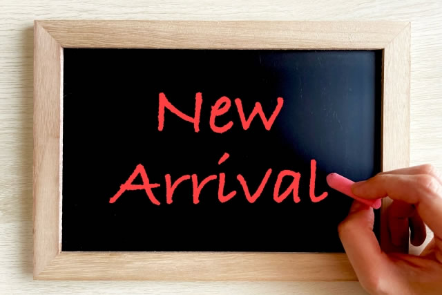 包装紙イメージ写真